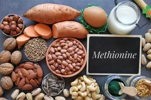 Wat doet methionine voor je gezondheid? | Medibib  🤩
