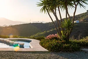 Droom je mee vooruit? 💭