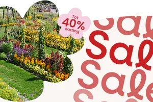 ☀️ Geen paniek, de zomersale begint nu: tot −40%!