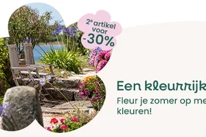 🌺 Laatste kans: −30% op de 2de gekochte plant!