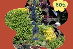 🏡 Zin in een tuin zonder zorgen? Tot -30% korting!