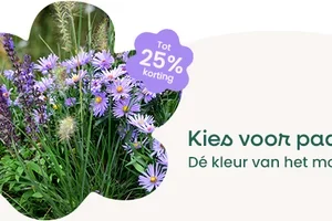 🚚 Gratis verzending vanaf €59 met de code BK59!