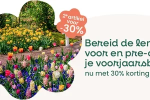 🌷 Twee goed nieuwtjes voor jouw tuin vandaag…
