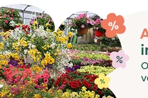 🚨 Wees er snel bij: gratis verzending vanaf €59 met de code BK59!