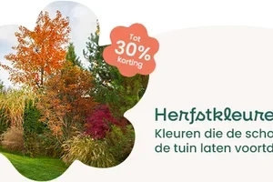 🍁 De herfst op z’n mooist: tot 30% korting op een selectie!