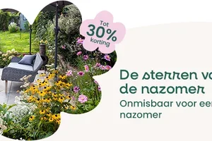 ☀️ Einde zomer: onze absolute must-haves!