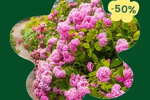 🚚 Gratis levering vanaf €39 aankoop met de code BK39