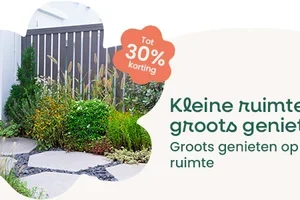 🏡 Je hebt geen grote tuin nodig om wonderen te doen!