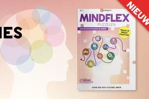 Nieuw: Mindflex - Train je breinfuncties