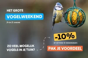 💥 Vogelliefhebbers besparen 10%