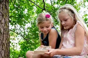 🍉 Tot 50% korting: maandaanbiedingen in juli
