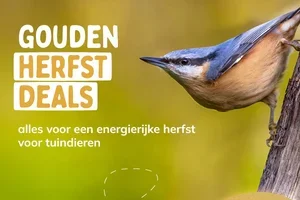 🍂 DEAL: 15% korting op je bestelling