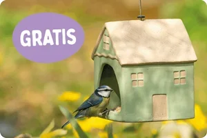 🎁 Alleen vandaag: GRATIS cadeau