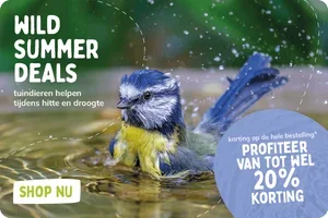 ⚡ 20% korting – laatste kans
