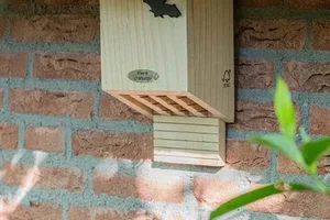 🦇 15% korting: Vier de Nacht van de Vleermuis