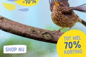 🌞 Nieuwe Summer Sale highlights