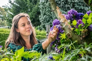 ⏳ FLASH DEAL: 10% korting op vogelvoer