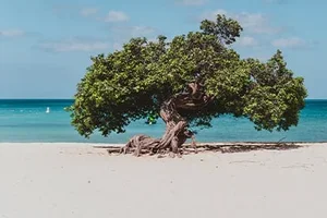 Last Minute 1 week weg vanaf 220,-