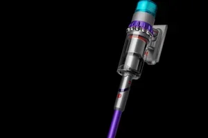 🎯 Black Friday Daily Deal!