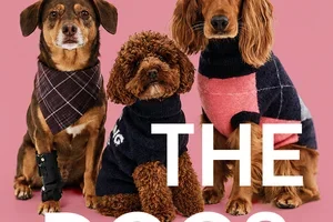MEET THE DOGS | Shop & win een getaway t.w.v. €1370