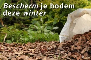Bescherm je bodem met een laag mulch!