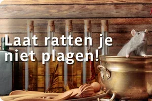🐀 Eerste hulp bij ratten en muizen!