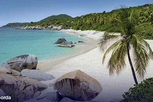 Fly & Cruise naar Catalina Beach vanaf 1 503 €