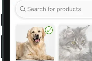 De winter sale is begonnen!