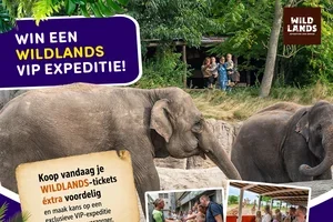 Win een WILDLANDS VIP Expeditie met dierverzorger!🐘