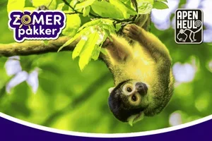 Dagpakker: Ontdek Apenheul voor maar €18! 🐒