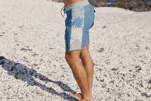 Les nouveaux boardshorts Quiksilver viennent d'arriver