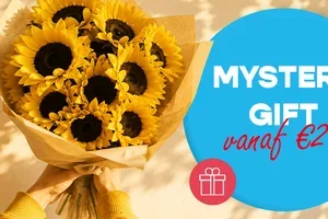 Je nieuwe promocodes staan klaar ✅