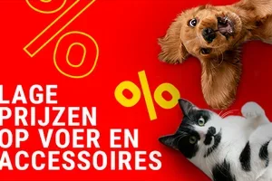 Bespaar nu op voer en accessoires bij bitiba!