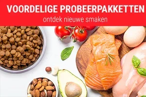 Ontdek een nieuwe wereld aan smaken!