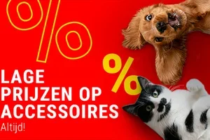 De accessoires die je altijd al wilde hebben, vind je hier!