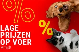 Deze e-mail bevat alleen lage prijzen!