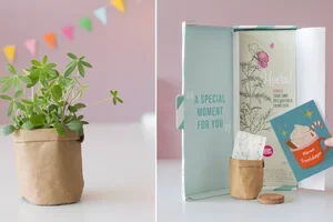 Green Friday deal 🌱