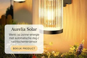 Ontdek de kracht van solar! ☀️