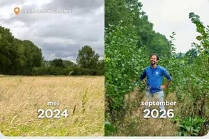 Trees for All update🌳