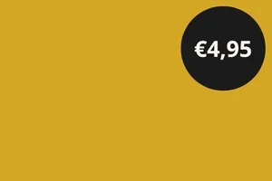 Losse kussenslopen voor €4,95 per stuk