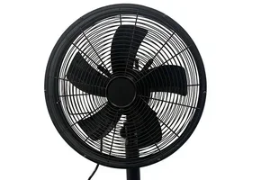 Vakantie in zicht ☀️ + de nieuwste 2dekansjes