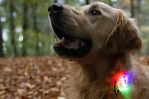 De nieuwe aanbiedingen staan klaar! Tot -25% korting!