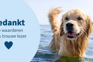 🎁 Alleen dit weekend: korting op alles!
