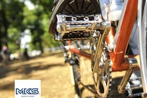 🥇 Onze favoriete pedalen.