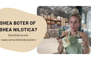 Shea Boter of Shea Nilotica? Dit is het verschil