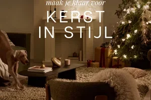 Kerst in stijl: dit zijn de trends van nu 🎄✨