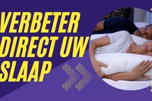 Terug op voorraad: Dreamolino SwanPillow