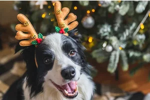 Black Friday bij Junai - Korting op alles!