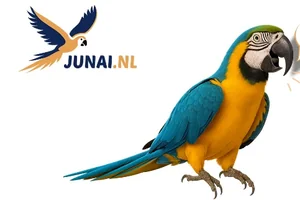 1 miljoen orders! 🚀 Bedankt voor je steun!