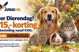 🎉 Dierendag vieren? Ontvang €15 korting bij Junai.nl